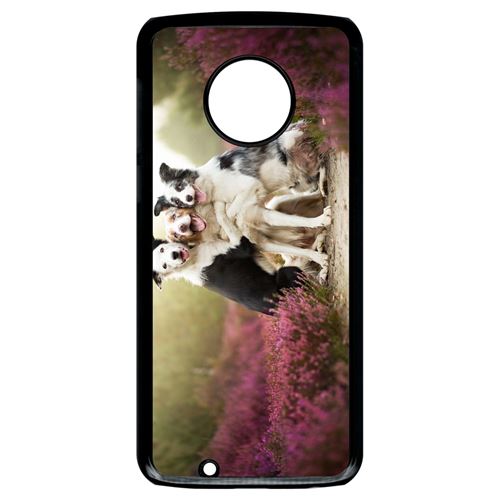 Coque motorola moto g6 trois chiens copains