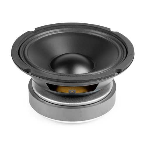Fenton Wp16 - Haut-Parleur De Graves, Cône 6,5 Pouces (16Cm), 200 Watts