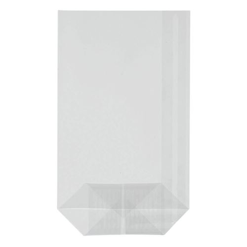 PAPSTAR - Sac alimentaire - jetable - clair (pack de 10)