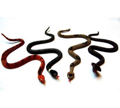 6 Figurine Serpent 17 Cm Jouet Farce Et Attrape Animaux Couleur Aleatoire Blague Anniversaire Fete Autres Achat Prix Fnac 6 Figurine Serpent 17 Cm Jouet Farce Et Attrape Animaux Couleur Aleatoire Blague Anniversaire Fete Autres Achat Prix Fnac