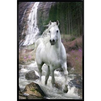 Poster Encadre Chevaux Grace Cheval Blanc Et Cascade Bob