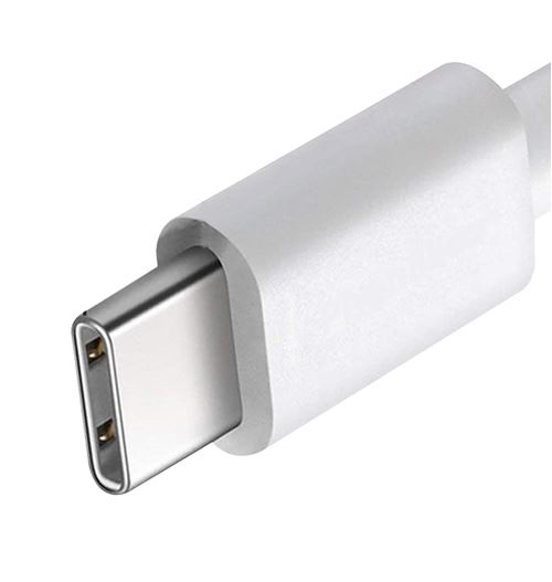 Cable USB-C USB-C 2m pour MacBook / iMac / Mac mini Phonillico® - Chargeur  et câble d'alimentation PC - Achat & prix