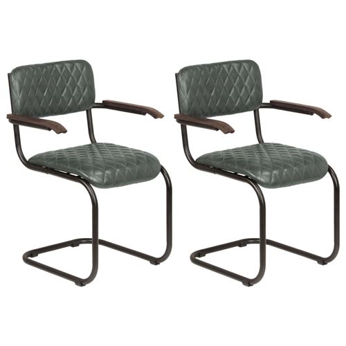 vidaXL Chaises à dîner avec accoudoirs 2 pcs Gris Cuir véritable