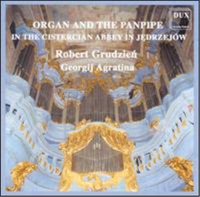 Organ and the Panpipe in the Cistercian Abbey in Jedrzejów
