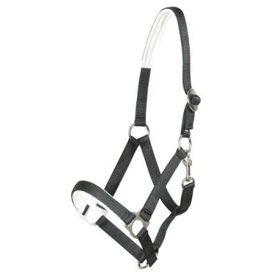 Pfiff 005157-60-p1 licol synthétique doublé ajustable en continu pour petit poney (noir)