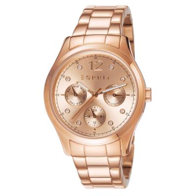 Montre Femme Esprit ES106702003 bracelet acier inoxydable