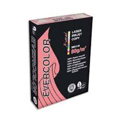 Lot de 5 Ramettes de 500 feuilles papier couleur recyclé EVERCOLOR 80gr format A4 rose