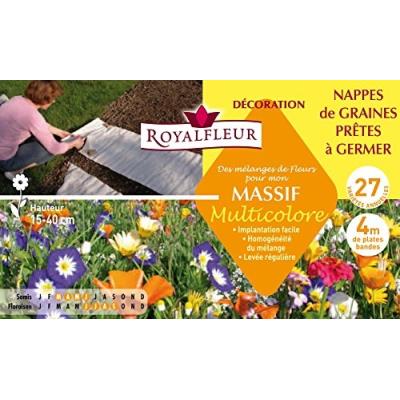 Royalfleur Pfs308354 Graines De Des Mélange De Fleurs Mon Massif Multicolore-Nappe