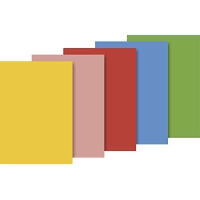 Baier schneider &- papier de soie - 50 x 70 cm-différents coloris, 1 pkg. ve 5, 10 feuilles baier & schneider 203375705