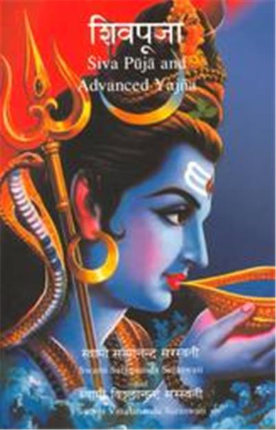 Siva Puja and Advanced Yajna