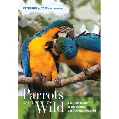 Parrots Of The Wild: A Natural History Of The World'S Most Captivating Birds (Hardcover)