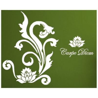 Home design b6026 mur pochoir carpe diem 135 x 105 cm
