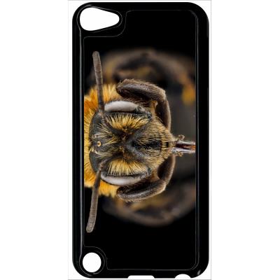 Coque ipod touch 5 macro tete d'abeille sur fond noir