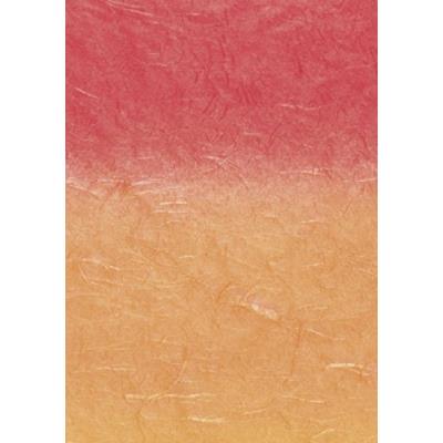 Baier schneider japon &faserpapier strohseide dégradé arc-en-ciel - 25 g m - 1500 x 700 mm baier & schneider 204755670