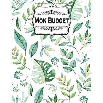 Livre budget familial 2021 - Carnet Budgétaire - A4 - 145 pages -  Couverture Fleurie - broché - NLFBP Editions, Livre tous les livres à la  Fnac