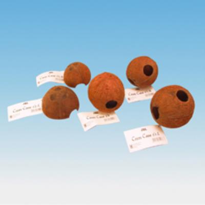 Comparer les prix de Cocos cava 1/2 l