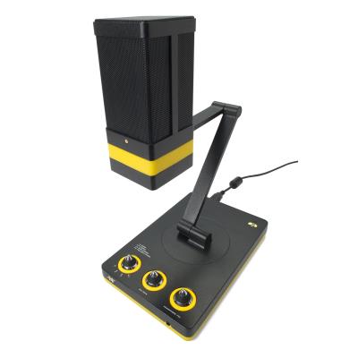 Micro Usb et IPad et IPhone NEAT Microphones BEECASTER