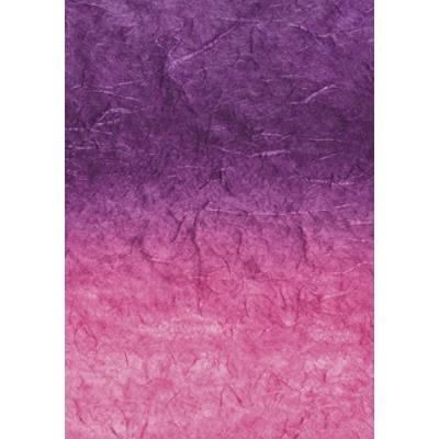 Baier schneider japon &faserpapier strohseide dégradé arc-en-ciel - 25 g m - 1500 x 700 mm baier & schneider 204755673