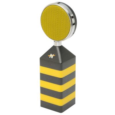 Statique NEAT Microphones KINGBEE Micro large capsule