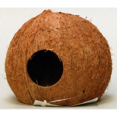 Meilleurs prix pour Cocos cava 3/4 l