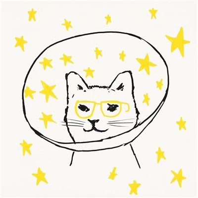 Star Labellation