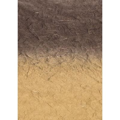 Baier schneider japon &faserpapier strohseide dégradé arc-en-ciel - 25 g m - 1500 x 700 mm baier & schneider 204755674