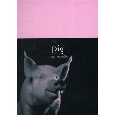Pig (Animal) (Paperback)