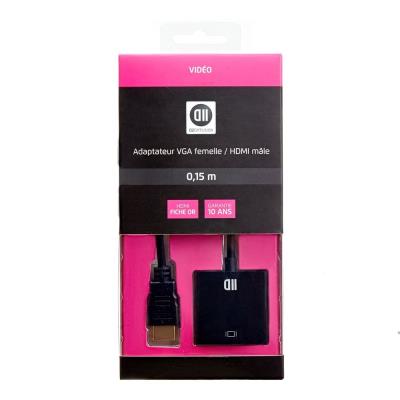 Adaptateur VGA femelle/HDMI mâle D2 Diffusion