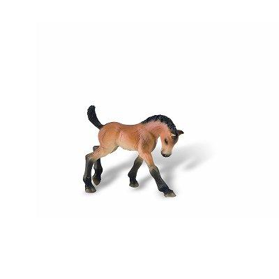 Figurine Cheval Trakehner - Poulain