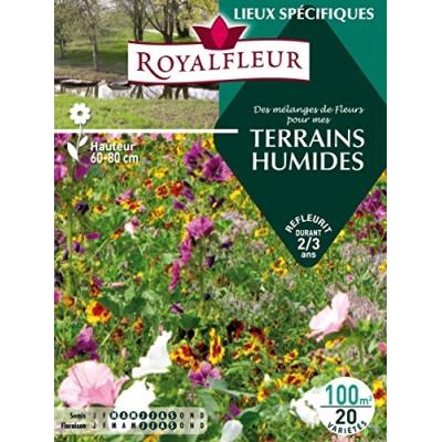 Royalfleur Pfrh08819 Graines De Des Mélange De Fleurs Mes Terrains Humides 100 M²