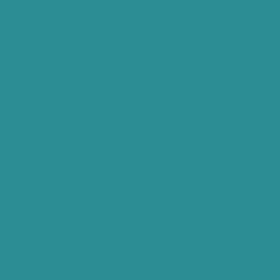 Savage Widetone Document d'information transparente (# 68 Teal, 53 x 36' )