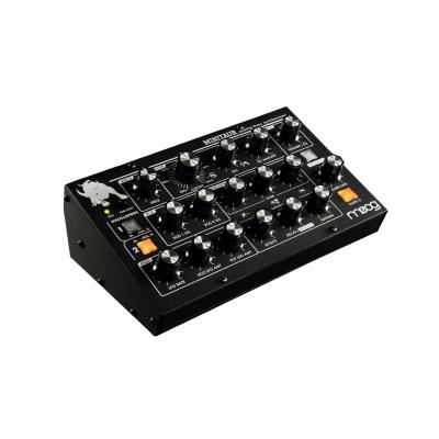 Synthés Analogiques Moog Minitaur