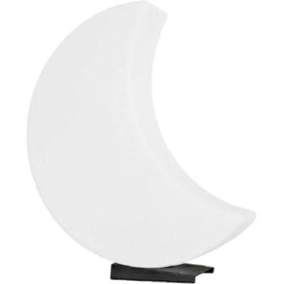 Lune lumineuse blanche changement couleur LED 60cm