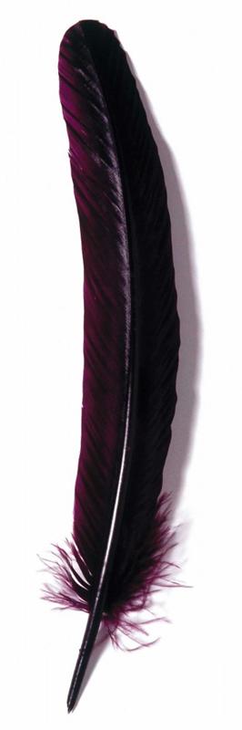 Herbin - Plumes d'oie taillées 28cm - Bordeaux