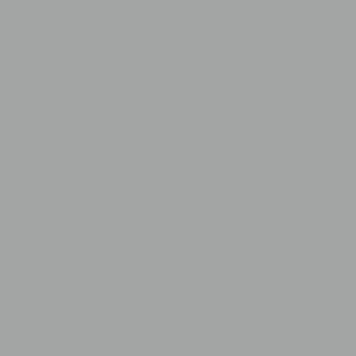 Savage Widetone papier Seamless Background (# 70 Gris Orage, 53 x 36' )