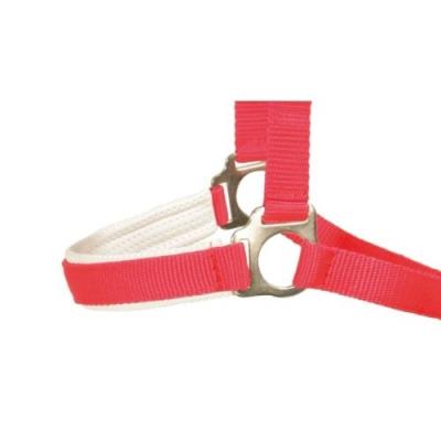 Pfiff 005157-10-w3 licol synthétique doublé ajustable en continu pour demi-sang pur-sang (rouge)