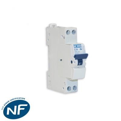 Proteus - disjoncteur ph/n 16a