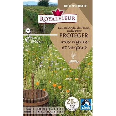 Royalfleur Pfrf08796 Graines De Fleurs Utiles Pour Protéger Vignes/Vergers 25 M²