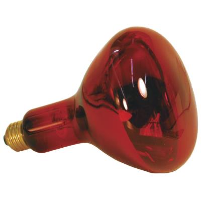 Comparer les prix de Lampe Chauffante Infrarouge Rg 150W Rs150