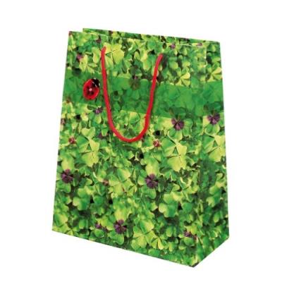 Susy carte sacs 11277597 cadeau paquet de 10 papier glacé trèfle chanceux motif 2 susy card