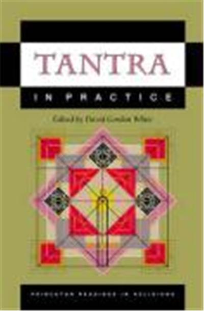 Tantra in Practice, Princeton Readings in Religions