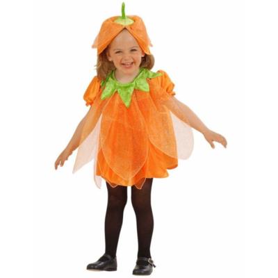 Déguisement Citrouille Fille