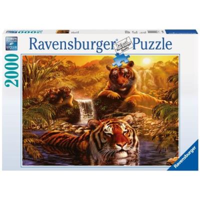 Ravensburger - 16646 - puzzle - le bain des tigres - 2000 pièces