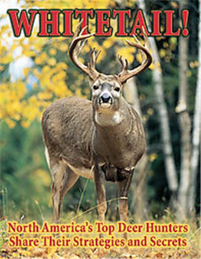 Whitetail!
