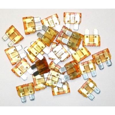 Fusibles Enfichables 40 Ampères Sachet De 25 Fusibles
