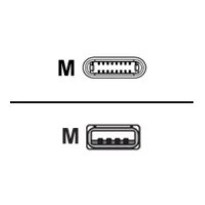 V7 câble Lightning - Lightning / USB - 1 m