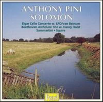 Pini/Solomon