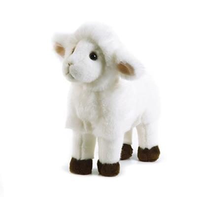 PLUSH&COMPANY - 05927 - PELUCHE - LAMBERTO AGNEAU - 27 CM