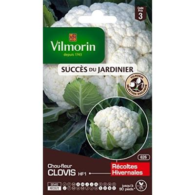 Vilmorin 3353543 Pack De Graines Chou-Fleur Clovis Hf1 Création