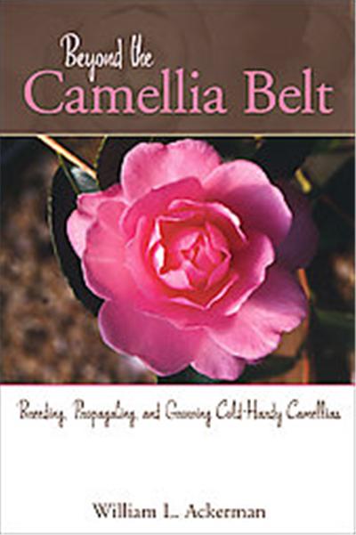 Beyond the Camellia Belt